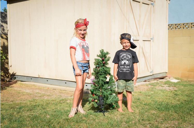 Christmas in July with the Best Trees for 2024